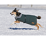 Cappotto invernale per cani Gizmo con pelliccia, 200 g