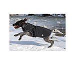 Cappotto in softshell per cani Cruz con pettorina integrata, 160 g