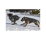Cappotto in softshell per cani Cruz con pettorina integrata, 160 g
