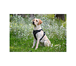 Pettorina Expedition