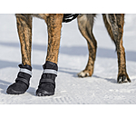 Scarpette protettive per cani Antarctica