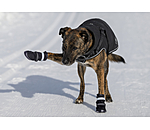 Scarpette protettive per cani Antarctica