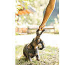Peluche per cani Bounce