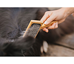 Cardatore per cani Woody