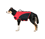 Giubbotto salvagente per cani Life Guard