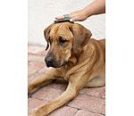 Striglia per cani Zeyna