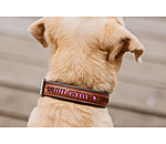 Collare in cuoio Good Dog