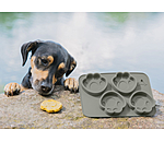 Stampo in silicone per torta per cani