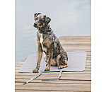 Tappetino portatile per cani Summer