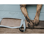 Tappetino portatile per cani Summer
