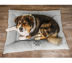 Cuccia in pelle sintetica per cani Gioia