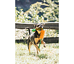 Giocattolo per cani Agi