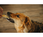 Orecchie di coniglio per cani