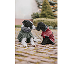 Cappotto in softshell per cani con colletto in pile Frida