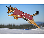 Cappotto in softshell per cani con colletto in pile Frida
