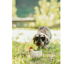 Giocattolo con squeaker per cani Chicken