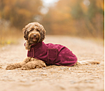 Cappotto in pile per cani Lino
