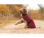 Cappotto in pile per cani Lino