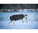 Cappotto in pile per cani Lino