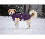 Cappotto invernale per cani Marlon, 200-300 g