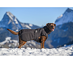 Cappotto invernale per cani Marlon, 200-300 g