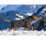 Cappotto invernale per cani Marlon, 200-300 g