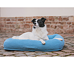 Cuccia per cani Terry