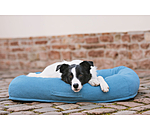 Cuccia per cani Terry