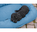 Cuccia per cani Terry