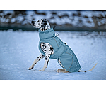 Cappotto invernale per cani Wonderland, 140 g