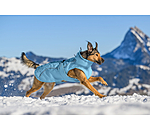 Cappotto invernale per cani Wonderland, 140 g