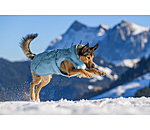 Cappotto invernale per cani Wonderland, 140 g