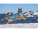 Cappotto invernale per cani Wonderland, 140 g