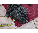 Coperta in pile per cani Charly