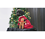 Giocattolo per cani Gingerman