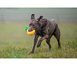 Giocattolo per cani Pineapple