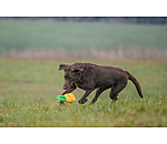Giocattolo per cani Pineapple