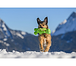 Giocattolo per cani Strong Dino