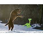 Giocattolo per cani Strong Dino