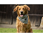 Bandana riflettente per cani