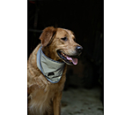 Bandana riflettente per cani