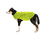 Gilet di sicurezza riflettente per cani