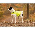 Gilet di sicurezza riflettente per cani
