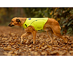 Gilet di sicurezza riflettente per cani