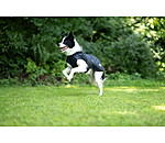 Impermeabile per cani Emmi