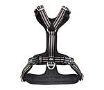Pettorina Comfort Fit