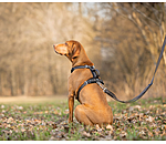 Pettorina Comfort Fit