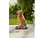 Ciotola doppia per cani