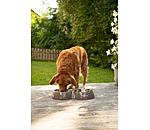 Ciotola doppia per cani