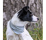 Bandana rinfrescante Frostie